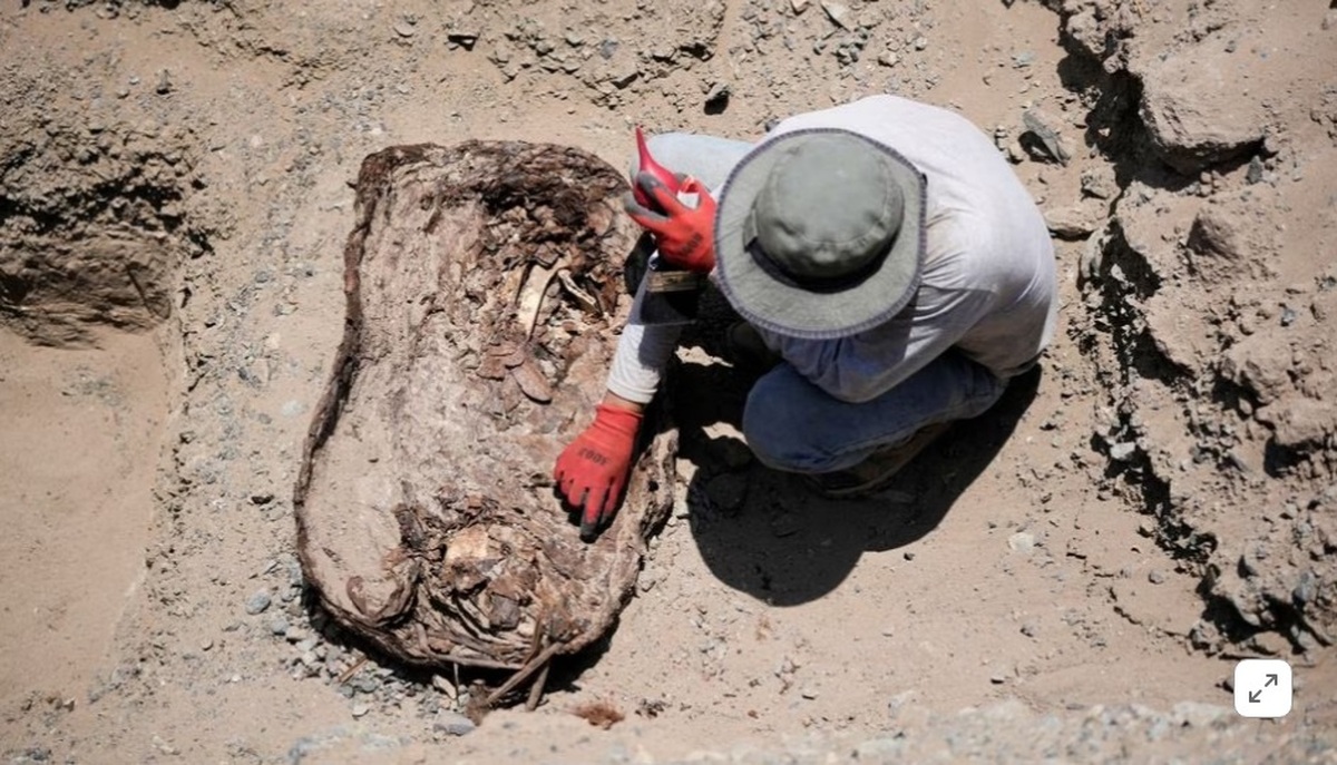 ببینید| کشف گورهای باستانی در پرو