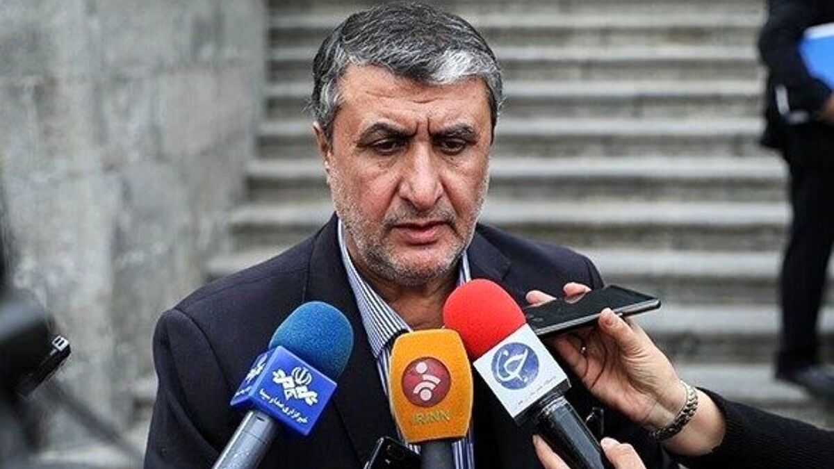 رئیس سازمان انرژی اتمی: اگر کوتاه بیاییم داشته‌هایمان از بین خواهد رفت