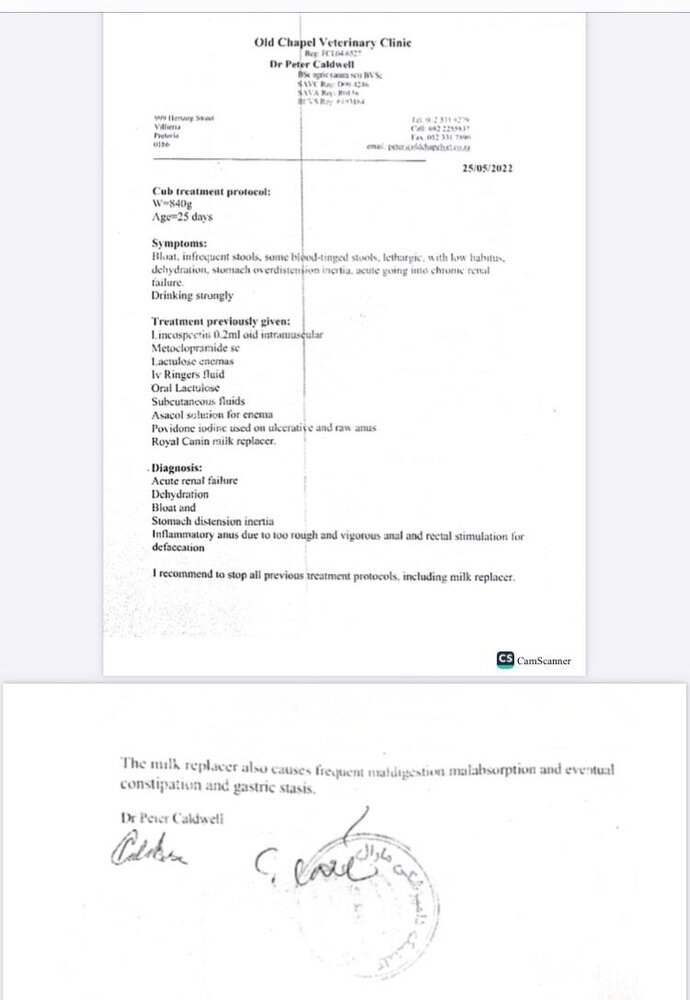 افشای سند دکتر پیتر کالدول از بیماری «پیروز»/ «چرا به مردم امید بیهوده دادید؟»