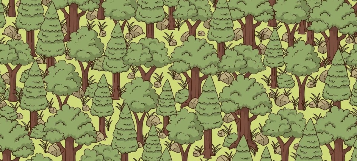 آیا می توانید خارپشت پنهان شده در جنگل را پیدا کنید؟ (تصویر)