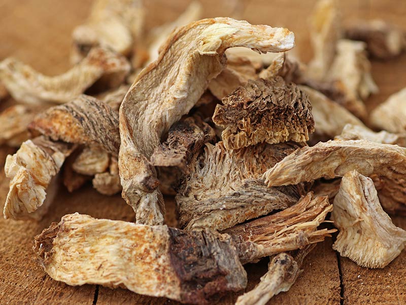 همه چیز درباره سنبل ختایی؛ از پروفایل ضد سرطانی تا خاصیت تسریع روند بهبود زخم