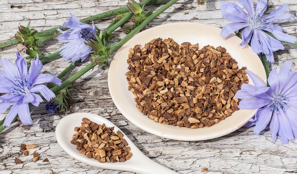 کاسنی؛ از فیبر پری بیوتیک تا حمایت از کاهش وزن کاسنی؛ از فیبر پری بیوتیک تا حمایت از کاهش وزن