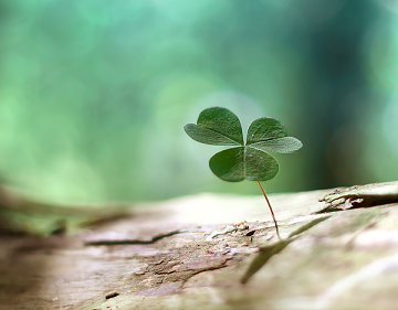 امید و ناامیدی مردم از کجا میآید؛ حرف مخالفان یا عمل مدعیان؟ امید و ناامیدی مردم از کجا میآید؛ حرف مخالفان یا عمل مدعیان؟