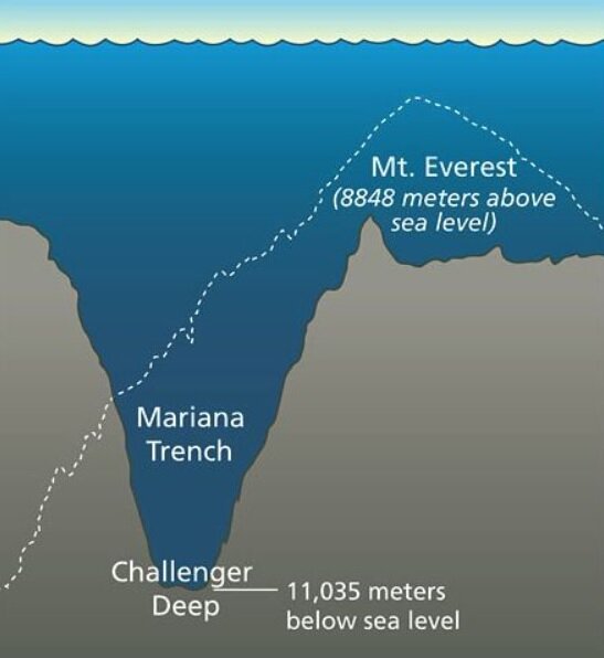 سفری به دل ژَرفترین گودال زمین/ در اعماق اقیانوسها چه خبر است؟ سفری به دل ژَرفترین گودال زمین/ در اعماق اقیانوسها چه خبر است؟