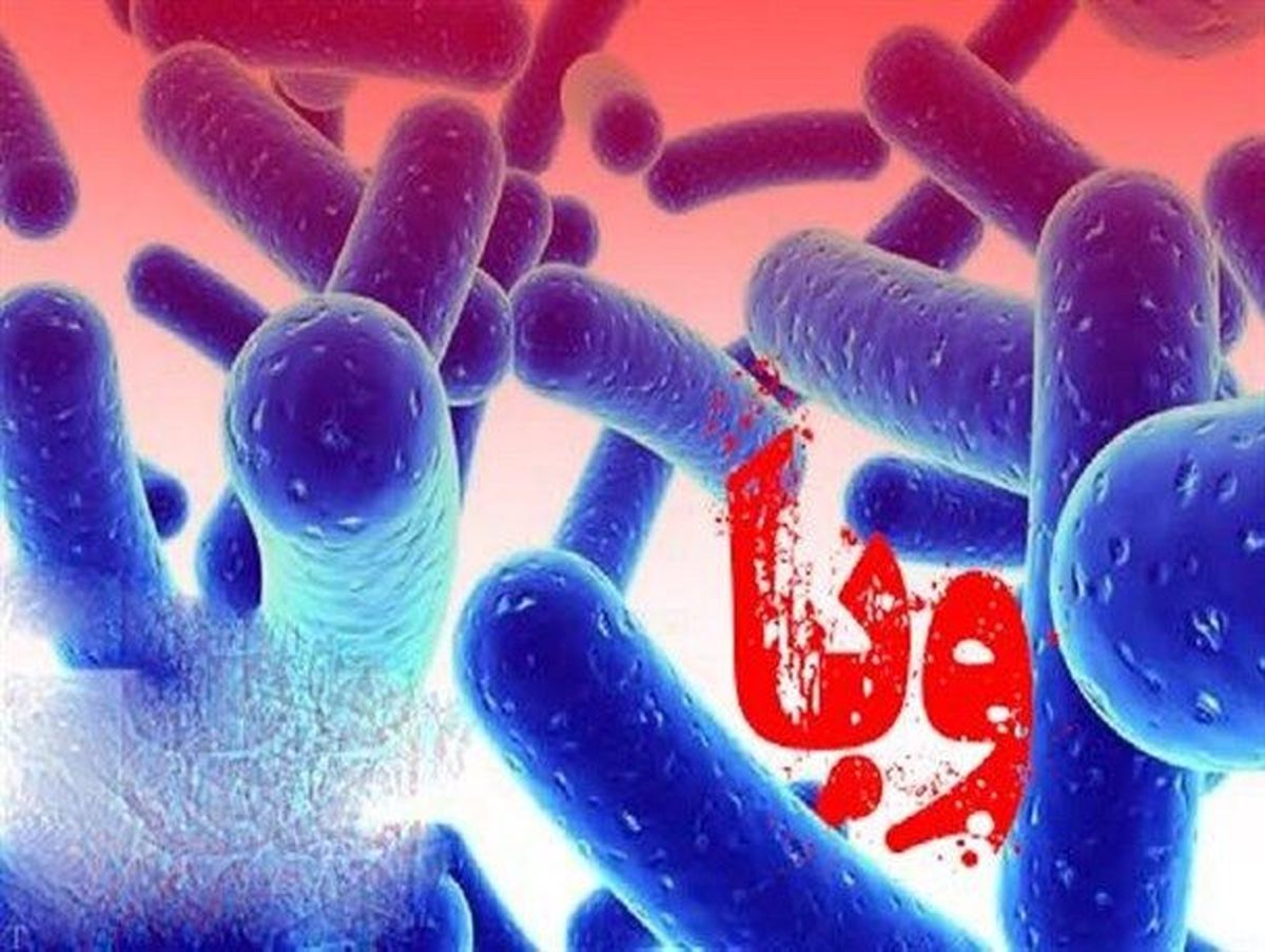 افزایش بیماران مبتلا به وبا در کرمانشاه به 15 نفر