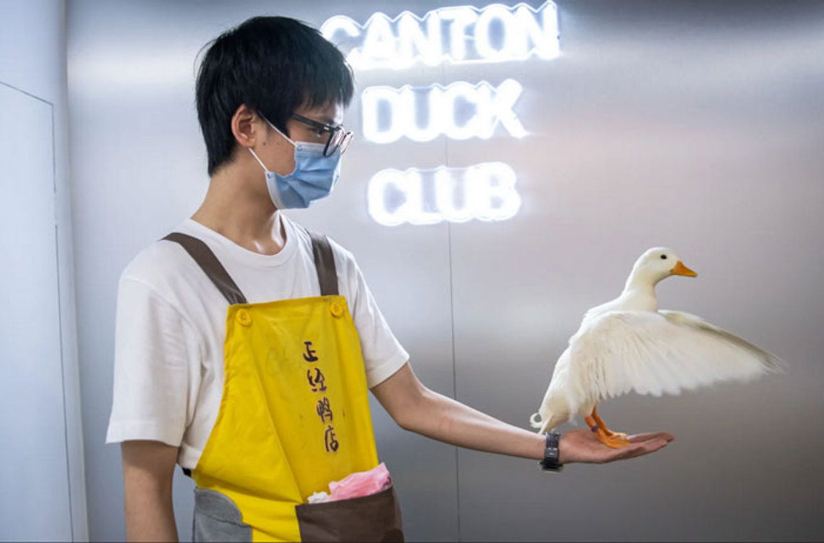 دیدنی های امروز؛ از فروشگاه اردک در چین تا کنسرت 