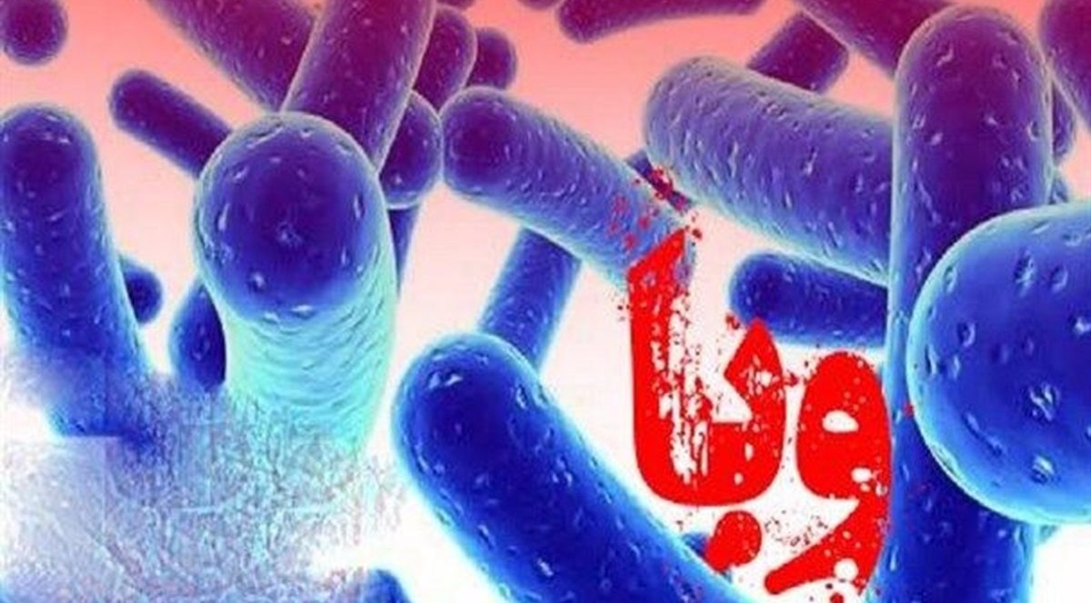 ابتلای قطعی ۶۰ نفر به بیماری وبا در کشور/ ۷۵ درصد از مبتلایان مرد هستند