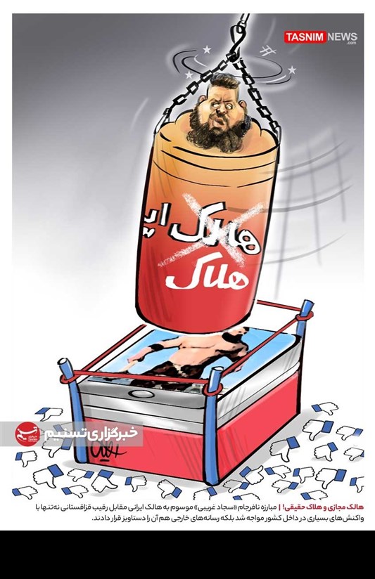 هالک مجازی و هلاک حقیقی! (کاریکاتور)