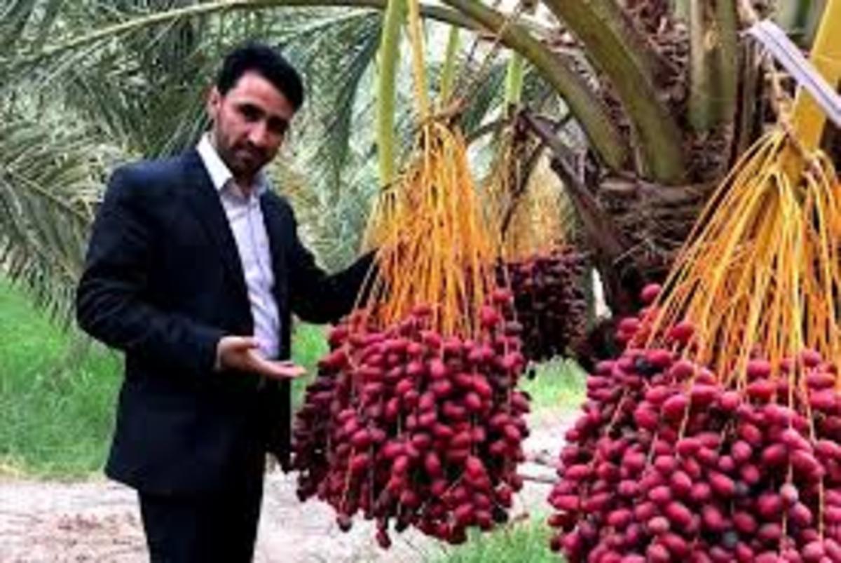 درخواست تاسیس 