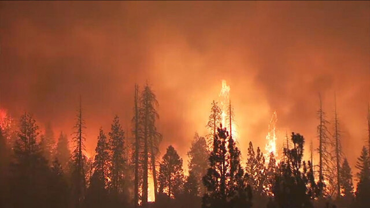 ویران شدن 90 خانه  در آتش سوزی کالیفرنیا