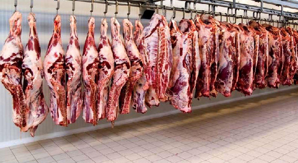 همشهری: دولت مالیات دنبه را حذف کرد، در نتیجه گوشت قرمز ارزان شد