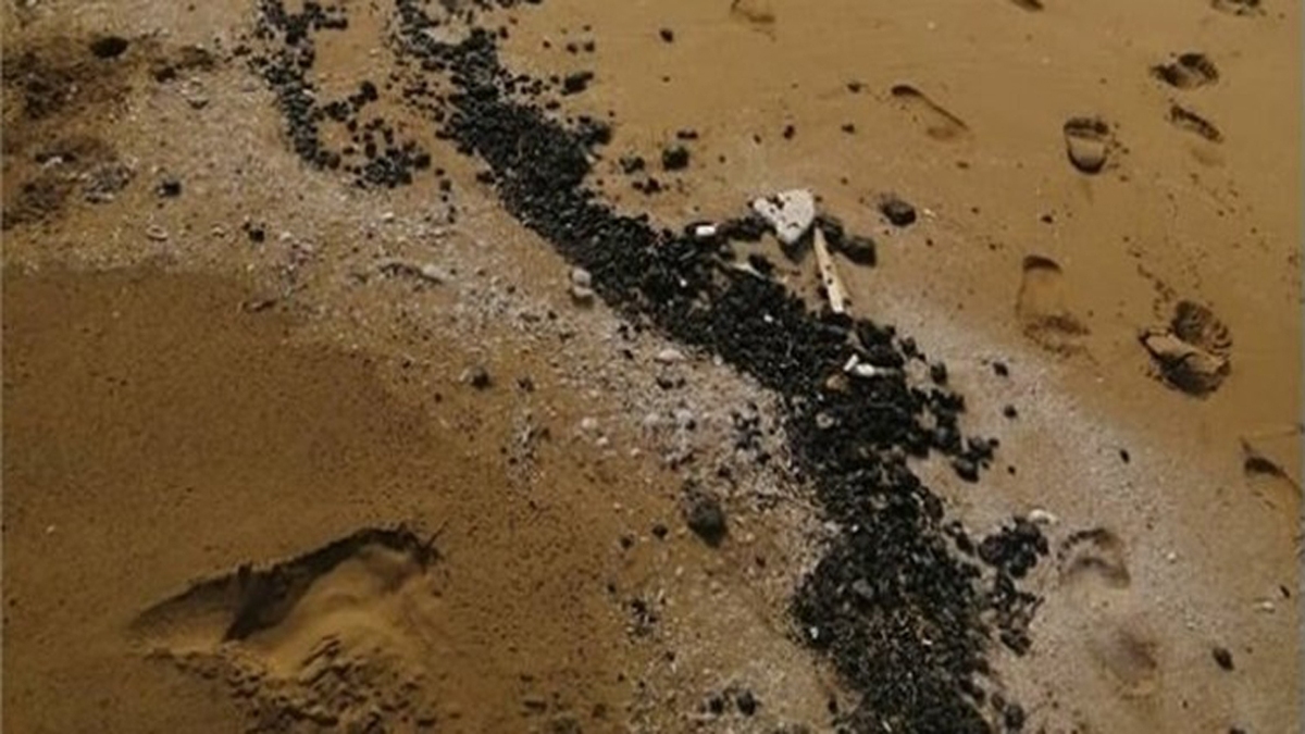 سازمان بنادر: آلودگی نفتی ساحل کنگان بوشهر/ منشاء به احتمال زیاد 