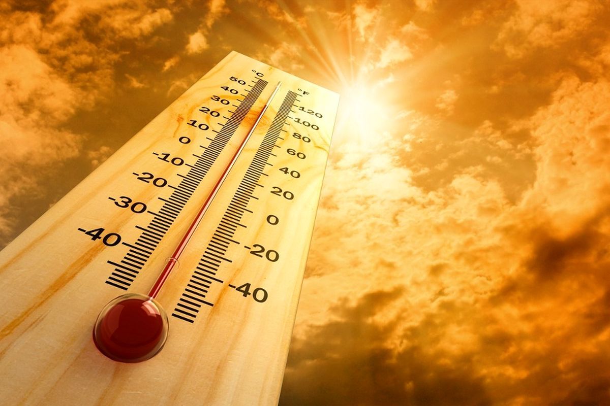 گرمای ۵۰ درجه در انتظار بوشهری‌ها/ کارمندان روز شنبه ۴ ساعت سر کار می‌روند