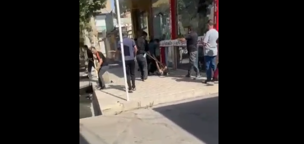 ببینید | کتک‌کاری وحشیانه با چماق و چوب؛ لشکرکشی با نیسان آبی