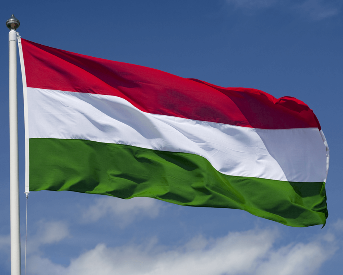 مجارستان/ ممنوعیت صادرات هیزم بخاطر بحران انرژی