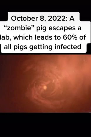 پیشگویی یک مسافر زمان از اتفاقات آینده؛ فرار خوک زامبی و خلع جو بایدن