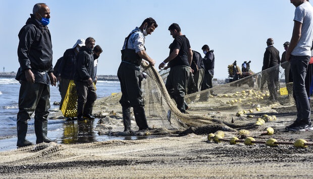 دریای خزر در حال بزرگ شدن است