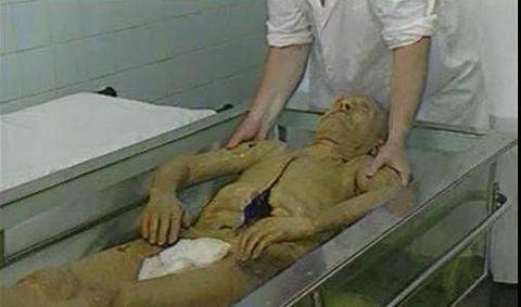 لنین؛ انقلابیِ بالفطره