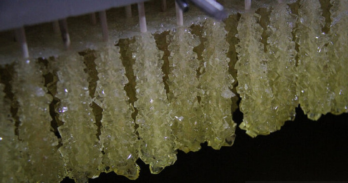 مشاغل شهر؛ تولید نبات (+عکس)