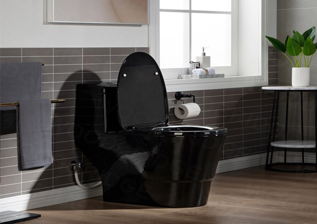 چه توالت فرنگی برای ما مناسب تر است؟