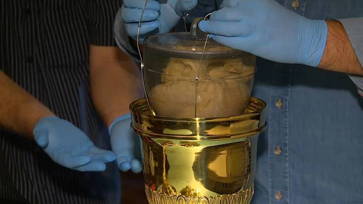 قلب نخستین امپراتور برزیل پس از ۲ قرن از پرتغال به برازیلیا باز میگردد قلب نخستین امپراتور برزیل پس از ۲ قرن از پرتغال به برازیلیا باز میگردد