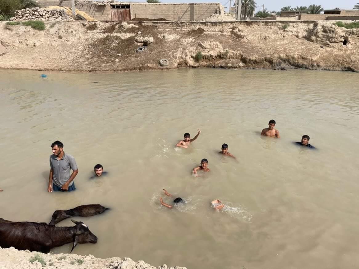 خوزستان؛ نهر عبودی پرآب شد؛ گاومیش ها خوشحال شدند