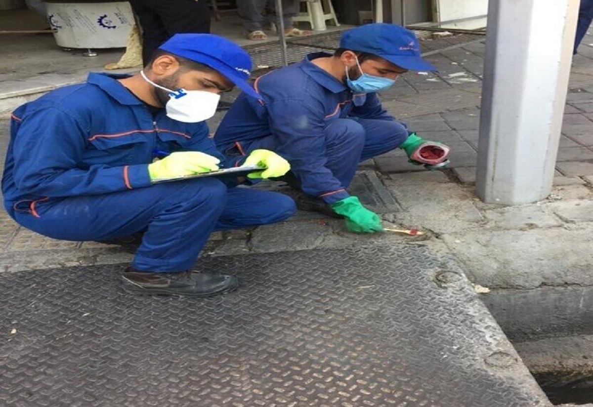 هزار و ۱۰۰ موش‌ خانه‌خراب شدند