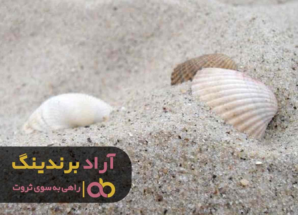 چرا امسال قیمت خرید صدف معدنی شکری کاهش یافت؟ چرا امسال قیمت خرید صدف معدنی شکری کاهش یافت؟