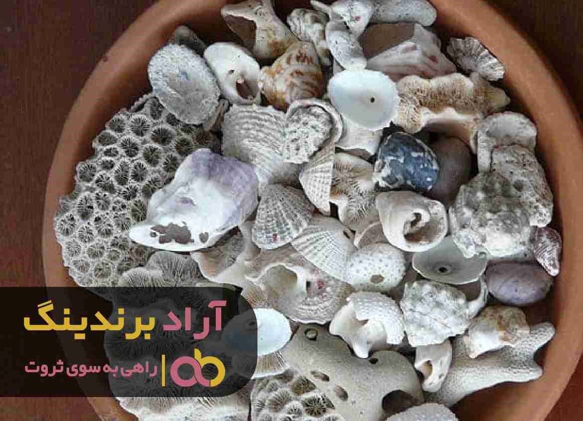 بررسی بازار فروش صدف معدنی گرانولی در گلستان