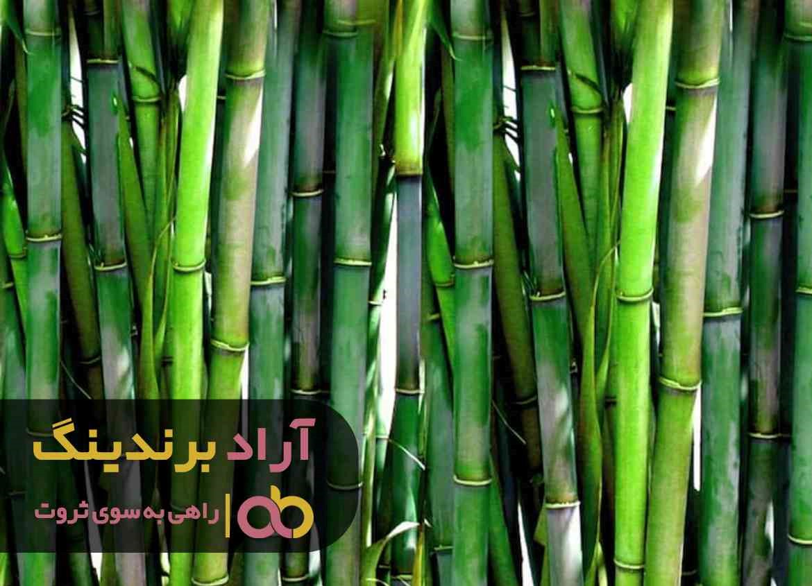 آیا قیمت چوب بامبو مصنوعی در مشهد در ارزان تر است؟ آیا قیمت چوب بامبو مصنوعی در مشهد در ارزان تر است؟