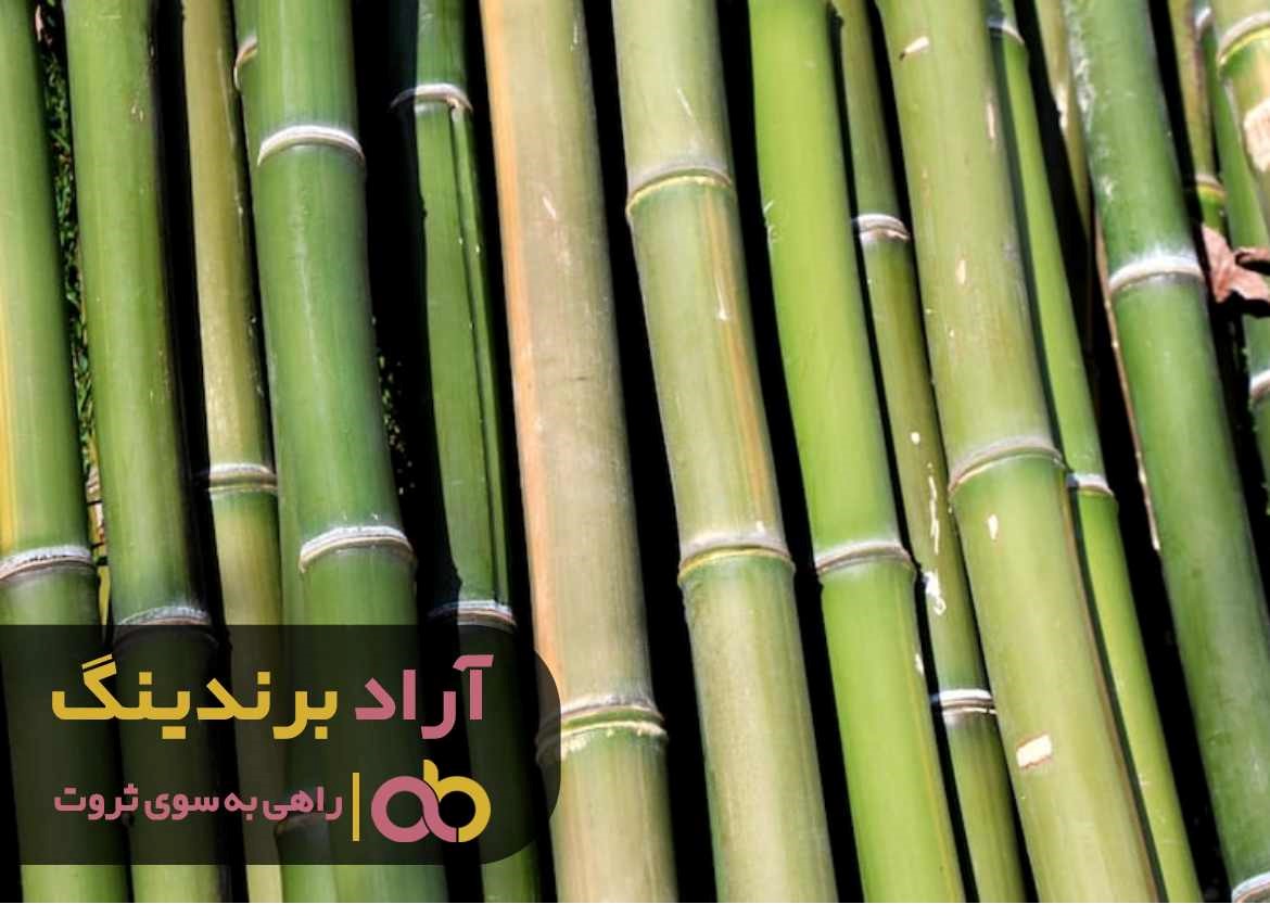 آیا قیمت چوب بامبو مصنوعی در مشهد در ارزان تر است؟ آیا قیمت چوب بامبو مصنوعی در مشهد در ارزان تر است؟