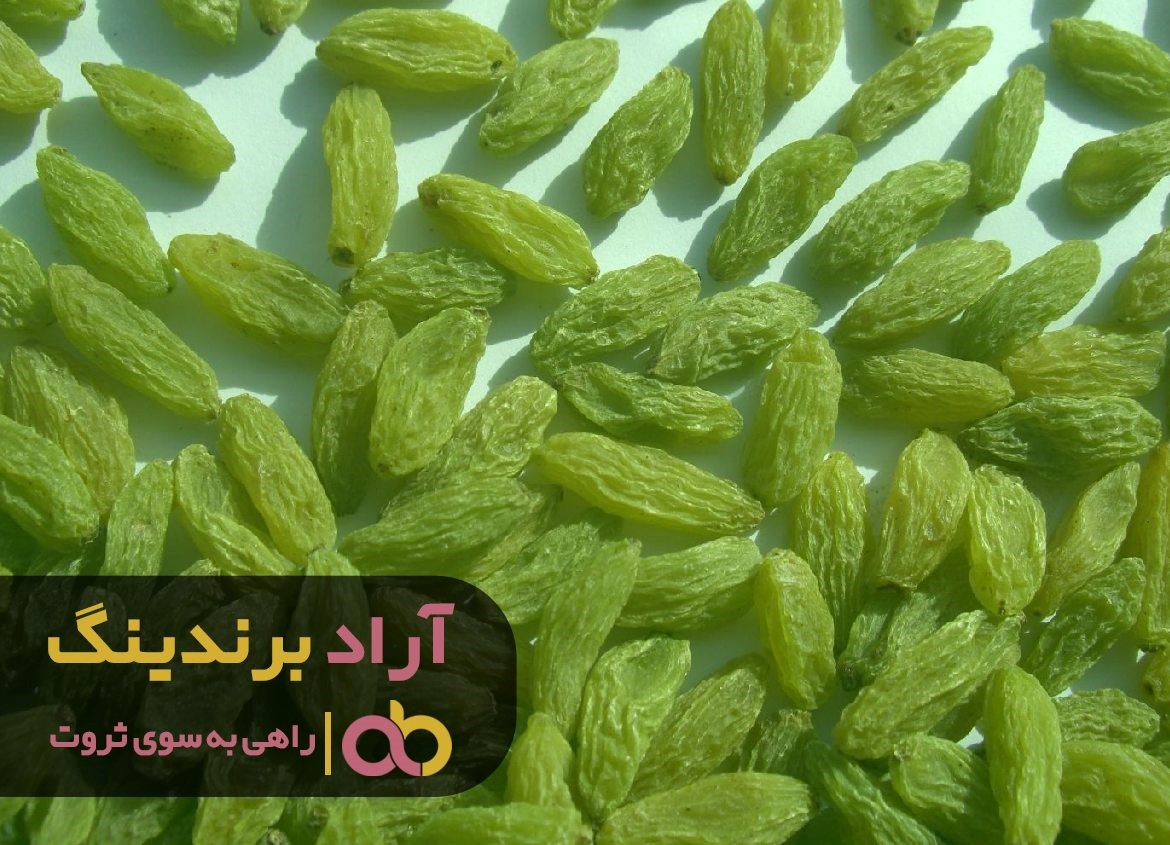 چرا قیمت کشمش سبز تیزابی ملایر رو به افزایش است چرا قیمت کشمش سبز تیزابی ملایر رو به افزایش است