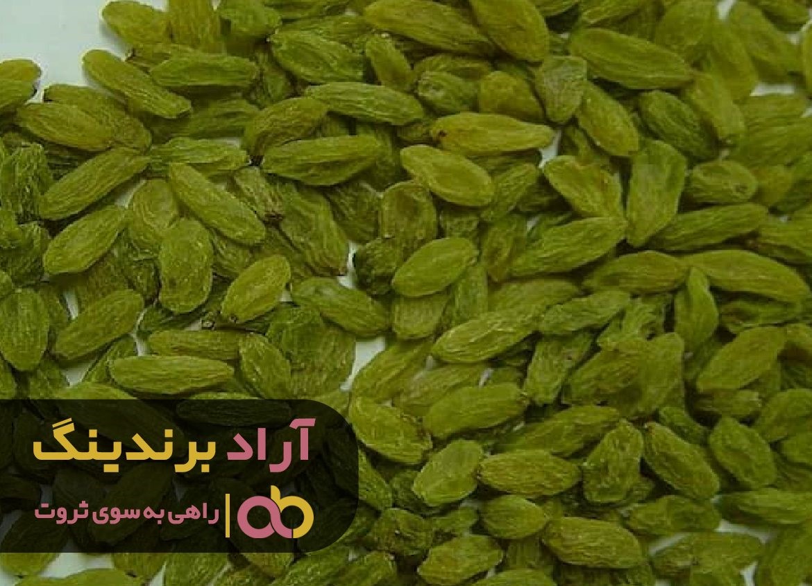 چرا قیمت کشمش سبز تیزابی ملایر رو به افزایش است چرا قیمت کشمش سبز تیزابی ملایر رو به افزایش است