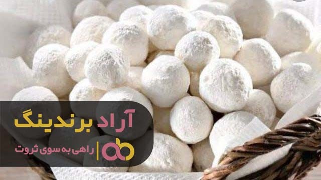 ارتباط میان قره قروت سفید پفکی و لاغری چیست؟