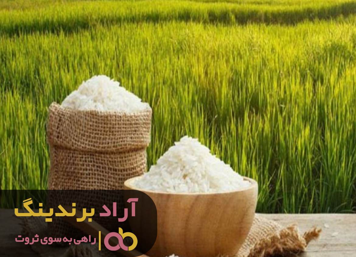 اطلاع از قیمت برنج کامفیروز اصفهان از طریق سایت های فروش آنلاین
