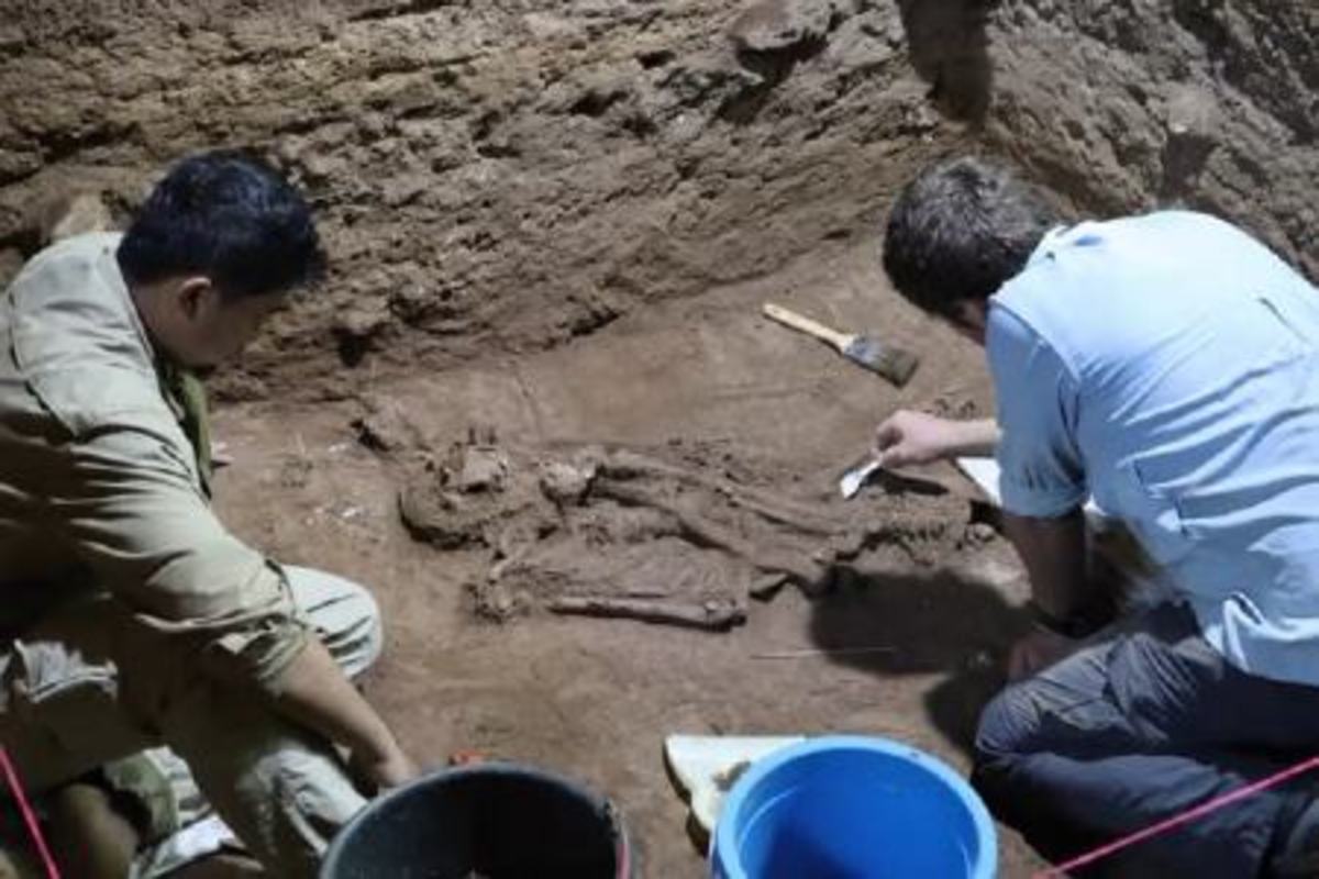 کشف قدیمی‌ترین عمل جراحی در عصر حجر (+عکس)