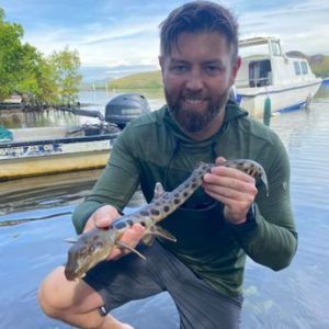 برای اولین بار در تاریخ گونه‌های کمیاب: کوسه‌‌ای که راه می‌رود