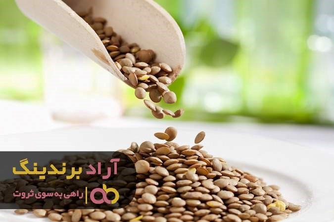 مناسب ترین قیمت عدس درشت ایرانی در ارومیه مناسب ترین قیمت عدس درشت ایرانی در ارومیه