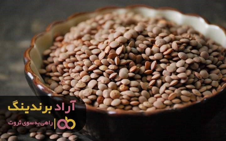 مناسب ترین قیمت عدس درشت ایرانی در ارومیه مناسب ترین قیمت عدس درشت ایرانی در ارومیه