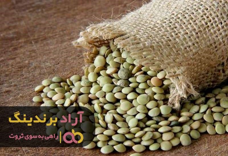 مناسب ترین قیمت عدس درشت ایرانی در ارومیه مناسب ترین قیمت عدس درشت ایرانی در ارومیه