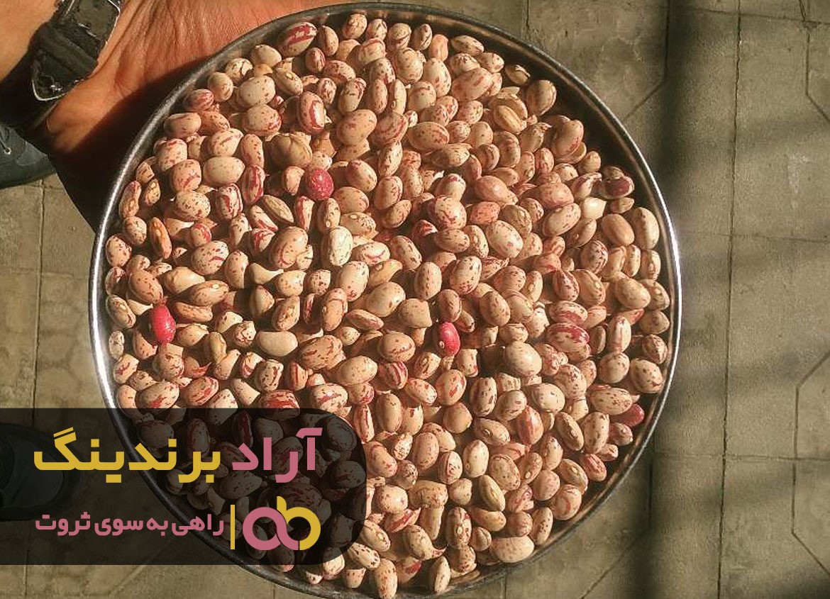 خرید عمده لوبیا چیتی تازه شمال با کیفیتی بی نظیر