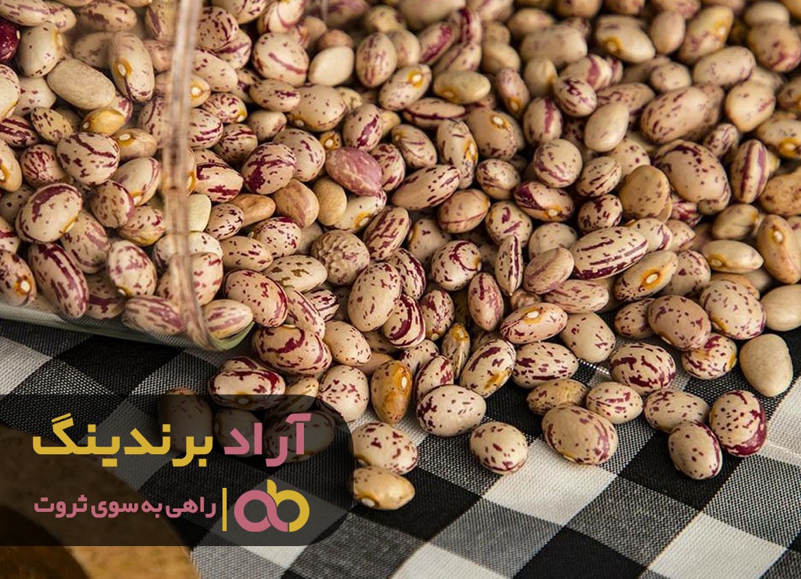 خرید عمده لوبیا چیتی تازه شمال با کیفیتی بی نظیر