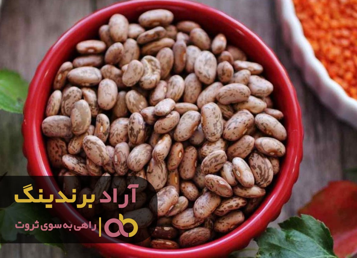 خرید عمده لوبیا چیتی تازه شمال با کیفیتی بی نظیر