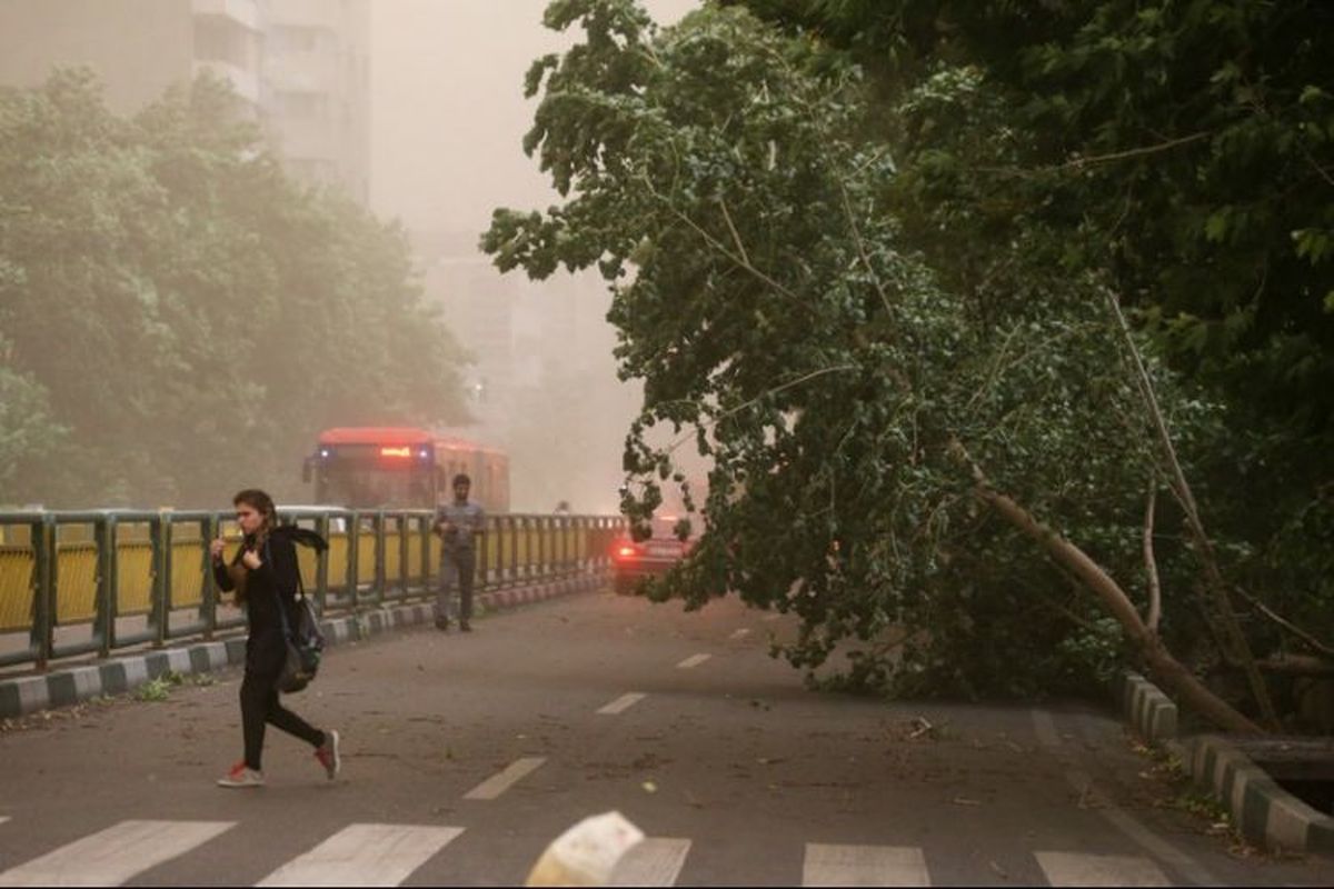 هشدار هواشناسی تهران: وزش باد شدید، رگبار و رعد و برق