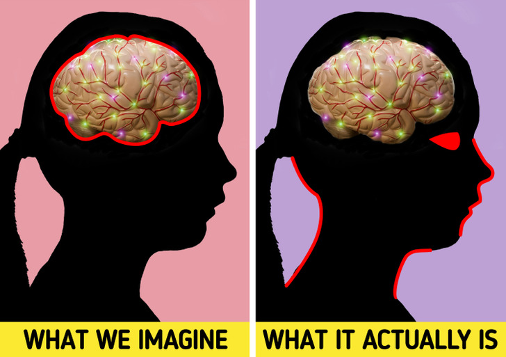 10 راز عجیب درباره بدن انسان که نمی‌ دانستید
