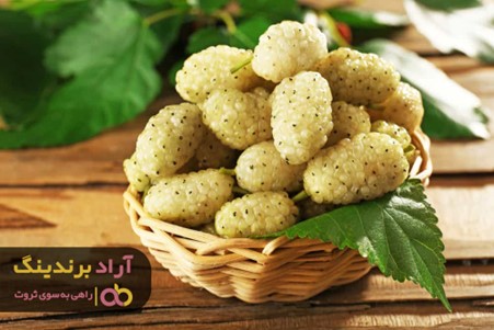 برای تهیه حلوای توت خشک چه اقداماتی لازم می باشد؟