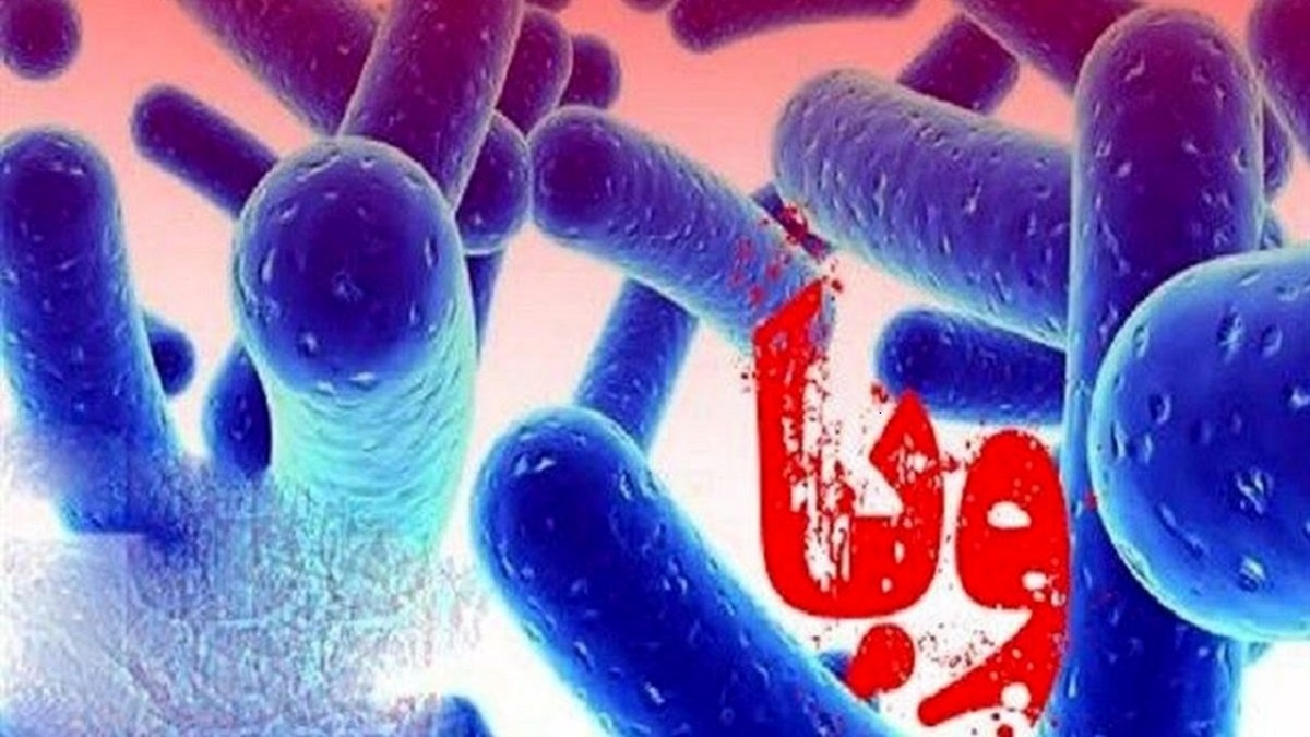 ابتلای ۳ نفر به بیماری وبا در چهارمحال و بختیاری 