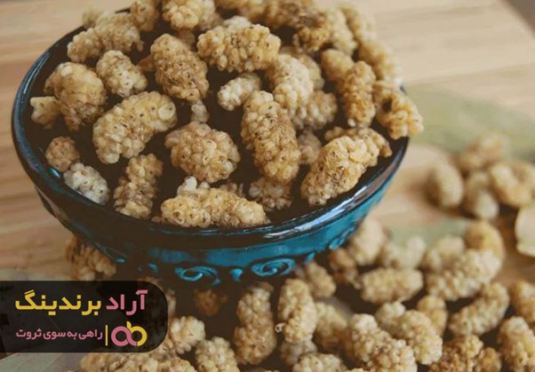 تاثیر توت خشک قاهان بر روی ایمنی و سلامت بدن