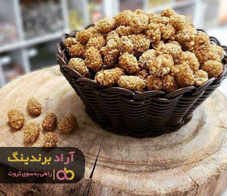 تاثیر توت خشک قاهان بر روی ایمنی و سلامت بدن