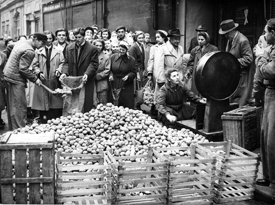 طـرز پختن سیب زمینی در زمان قاجار طـرز پختن سیب زمینی در زمان قاجار